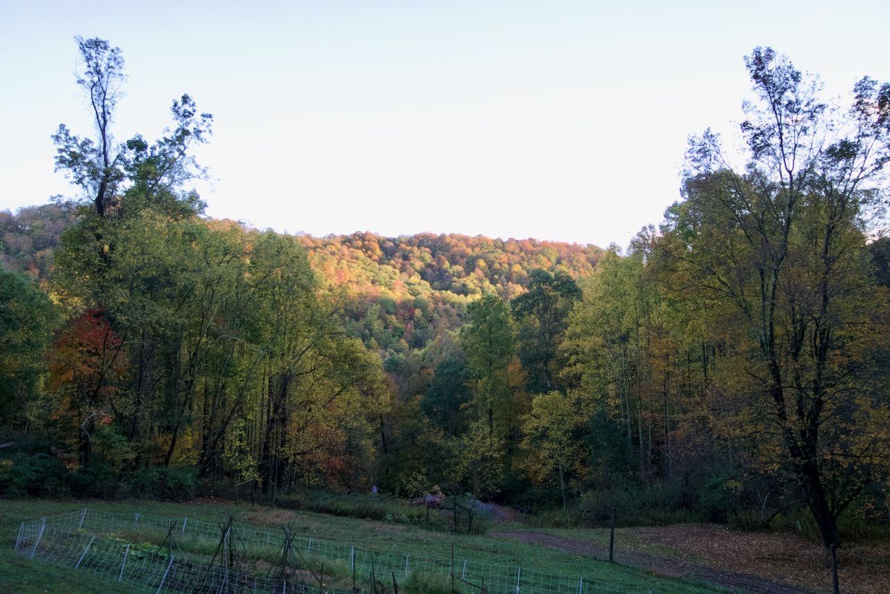 An autumn holler in West Virginia, wooded hillsides folding toward a garden fence
