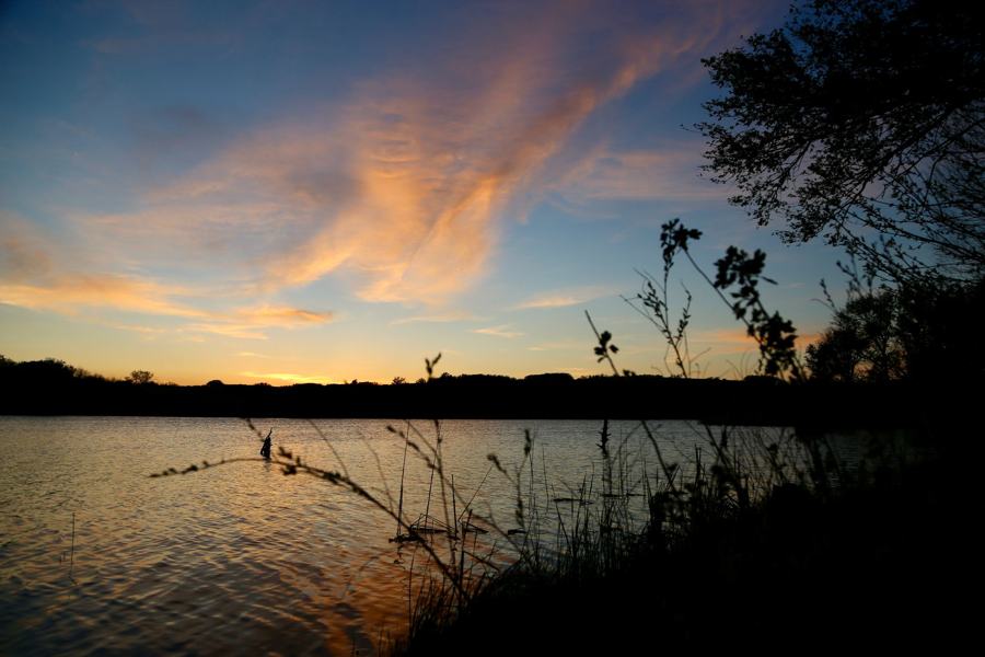 Dusk over a lake, the far shore in silhouette